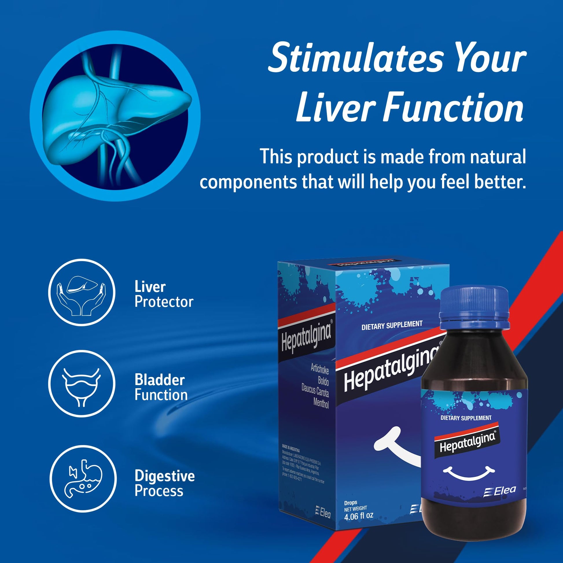 Hepatalgina Liver Support Digestive Protector - Liquid Herbal Supplement with Artichoke Extract for Liver Cleanse Detox & Repair - Liver Detox Cleanse Drops with Mint, Boldo & Carrot - 120 ml - dailyvitalstore