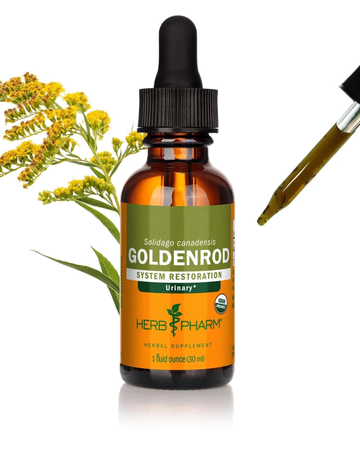 Herb Pharm Certified Organic Goldenrod Liquid Extract for Urinary System Support, 1 Fl Oz (Pack of 1) - dailyvitalstore