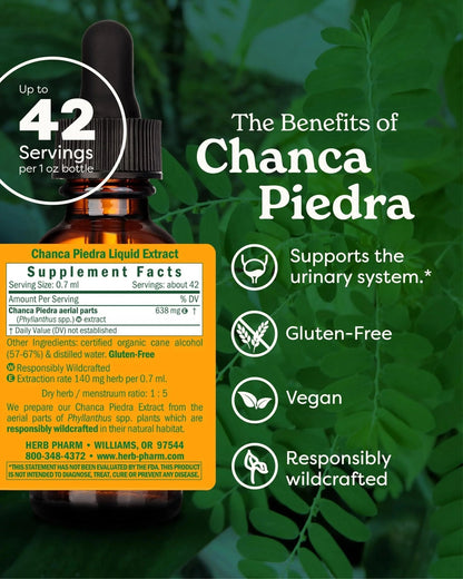 Herb Pharm Chanca Piedra Liquid Extract for Urinary System Support, 1 Fl Oz - dailyvitalstore