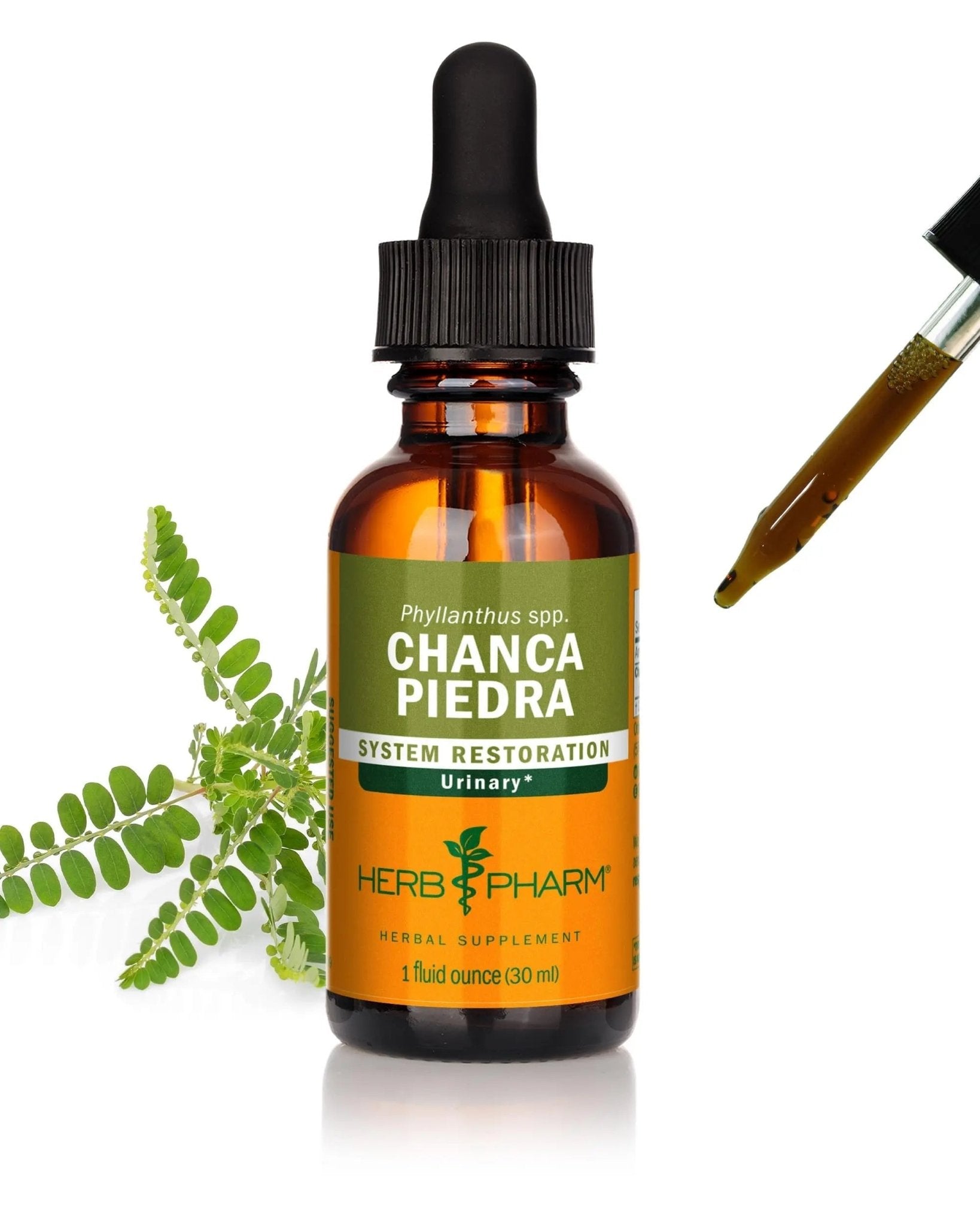 Herb Pharm Chanca Piedra Liquid Extract for Urinary System Support, 1 Fl Oz - dailyvitalstore