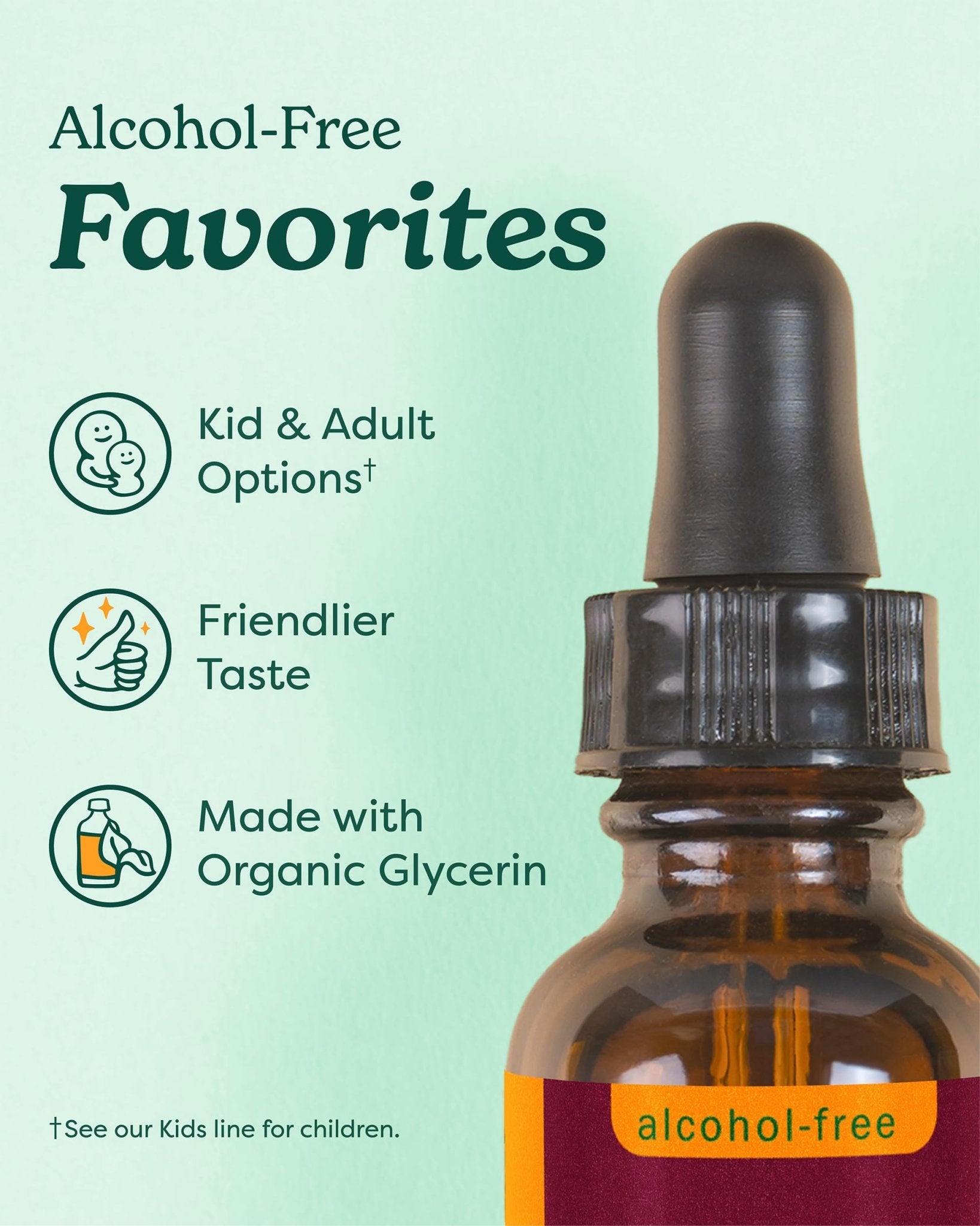 Herb Pharm, Lemon Balm Alcohol Free, 1 Fl Oz - dailyvitalstore