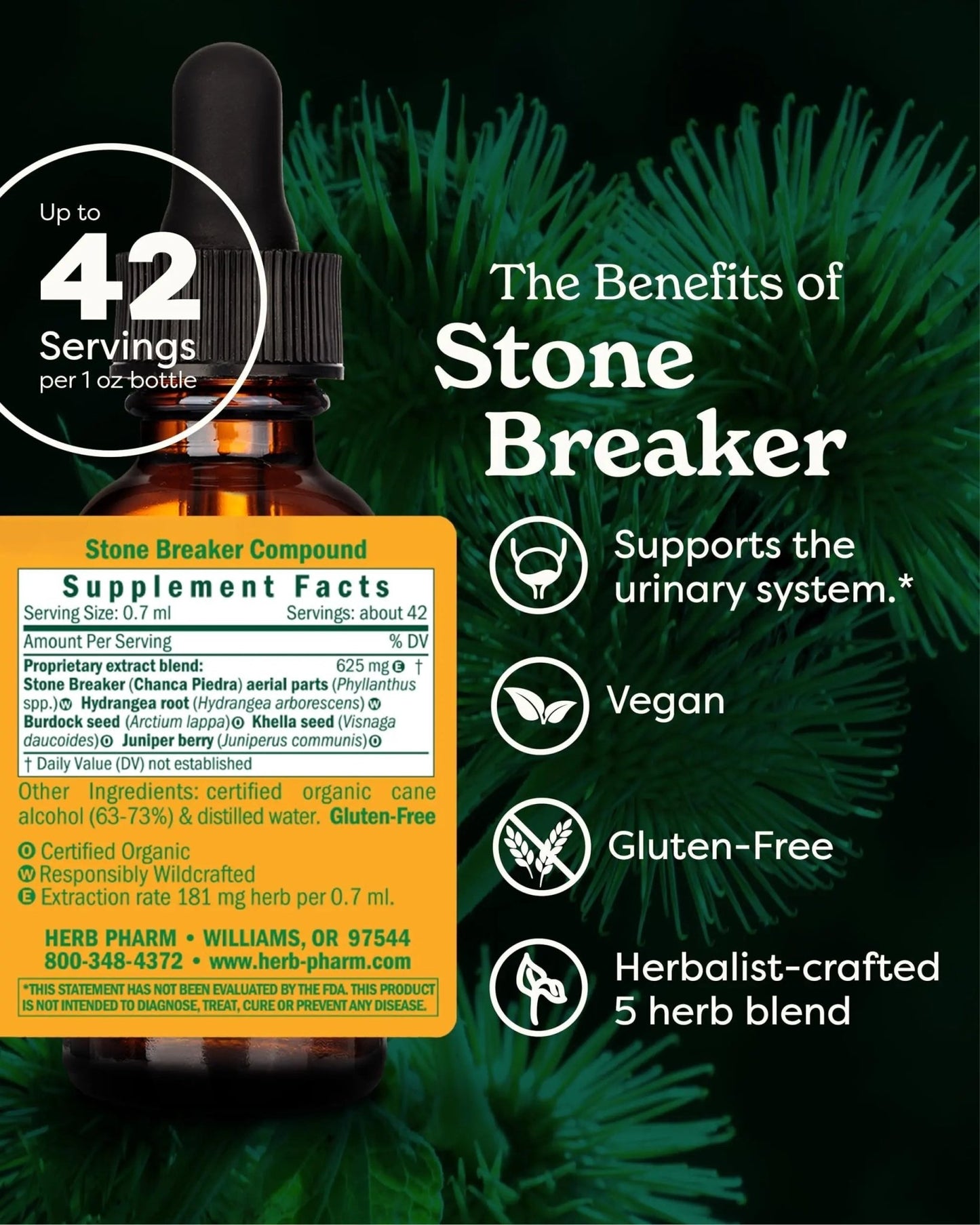 Herb Pharm Stone Breaker (Chanca Piedra) Compound Liquid for Urinary System Support - 1 Fl Oz - dailyvitalstore