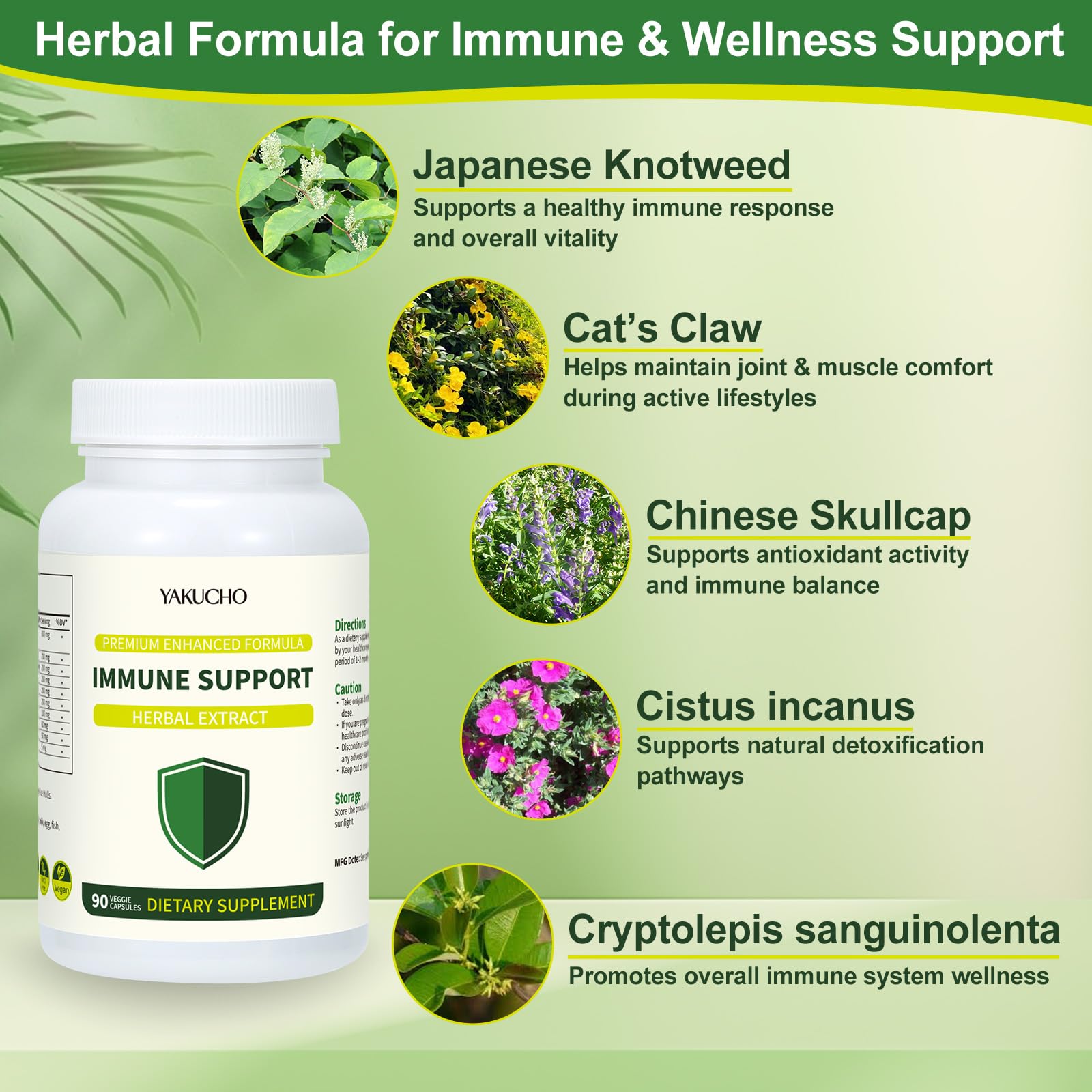 Herbal Immune Support Supplement, Vegan Capsules with Japanese Knotweed, Cat’s Claw, Skullcap & Sanguinolenta, Supports Immune Health & Overall Wellness, Gluten-Free - dailyvitalstore