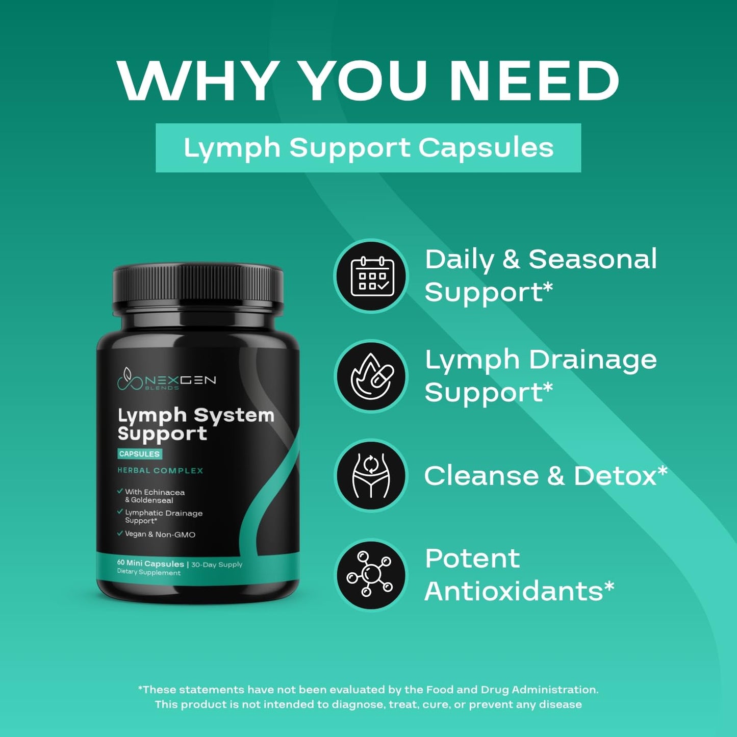 Herbal Lymph System Support Supplement - Lymphatic Support Complex with Echinacea Goldenseal Astragalus & Hydroxytyrosol for Lymphatic Drainage & Immune Support - Vegan Non-GMO Gluten Free (1 Month) - dailyvitalstore
