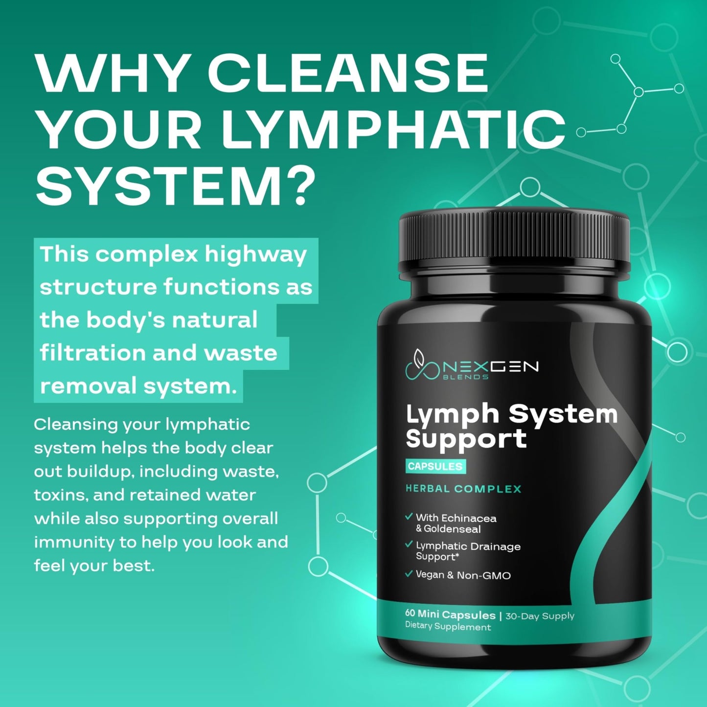 Herbal Lymph System Support Supplement - Lymphatic Support Complex with Echinacea Goldenseal Astragalus & Hydroxytyrosol for Lymphatic Drainage & Immune Support - Vegan Non-GMO Gluten Free (1 Month) - dailyvitalstore