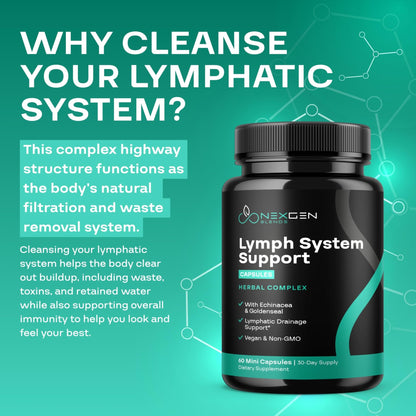 Herbal Lymph System Support Supplement - Lymphatic Support Complex with Echinacea Goldenseal Astragalus & Hydroxytyrosol for Lymphatic Drainage & Immune Support - Vegan Non-GMO Gluten Free (1 Month) - dailyvitalstore