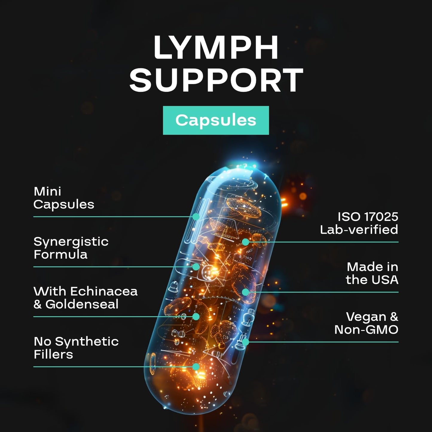 Herbal Lymph System Support Supplement - Lymphatic Support Complex with Echinacea Goldenseal Astragalus & Hydroxytyrosol for Lymphatic Drainage & Immune Support - Vegan Non-GMO Gluten Free (1 Month) - dailyvitalstore