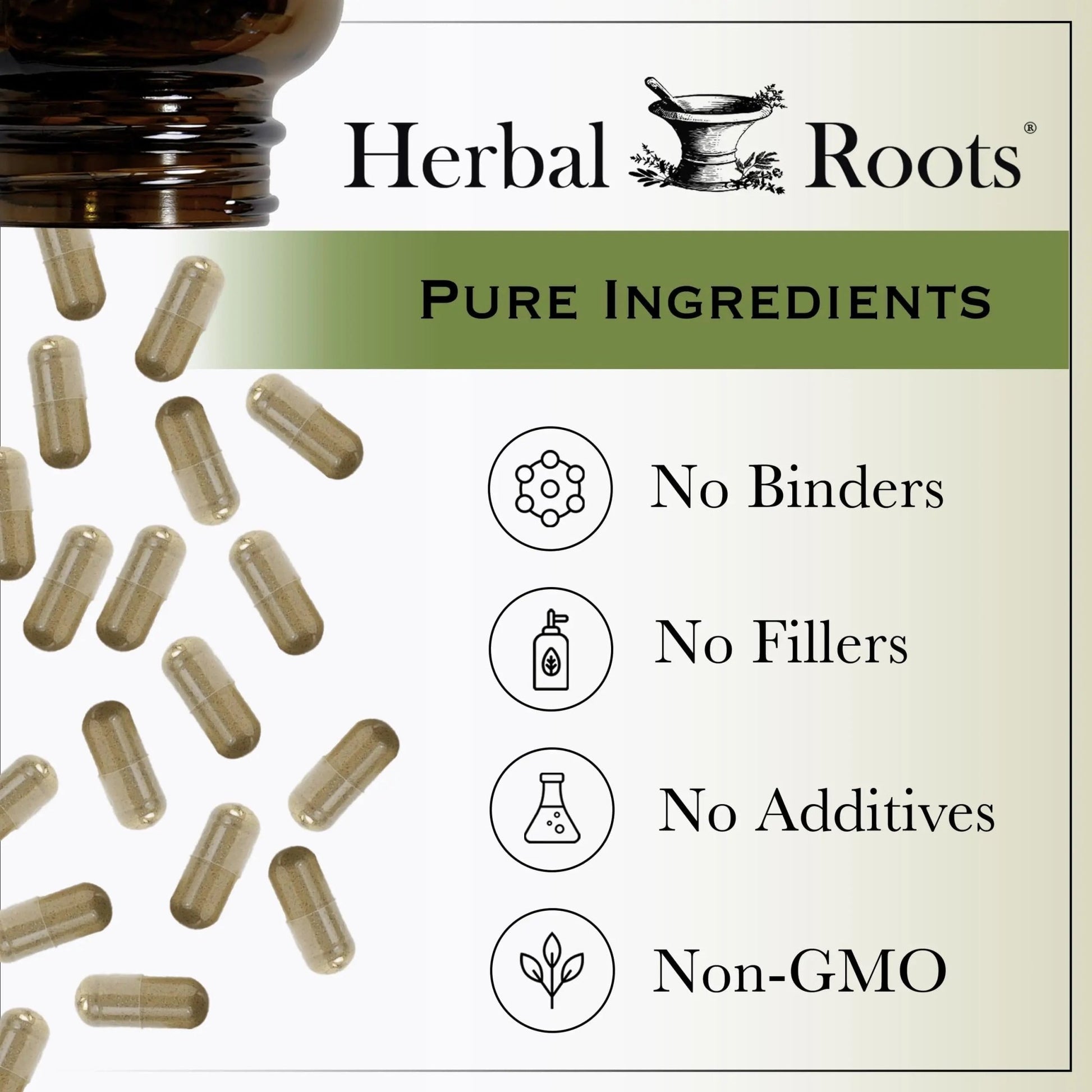 Herbal Roots Extra Strength Cranberry Pills for Women & Men with Organic Nettle | Urinary Tract Health | 60 Vegan Capsules - dailyvitalstore