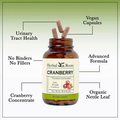 Herbal Roots Extra Strength Cranberry Pills for Women & Men with Organic Nettle | Urinary Tract Health | 60 Vegan Capsules - dailyvitalstore