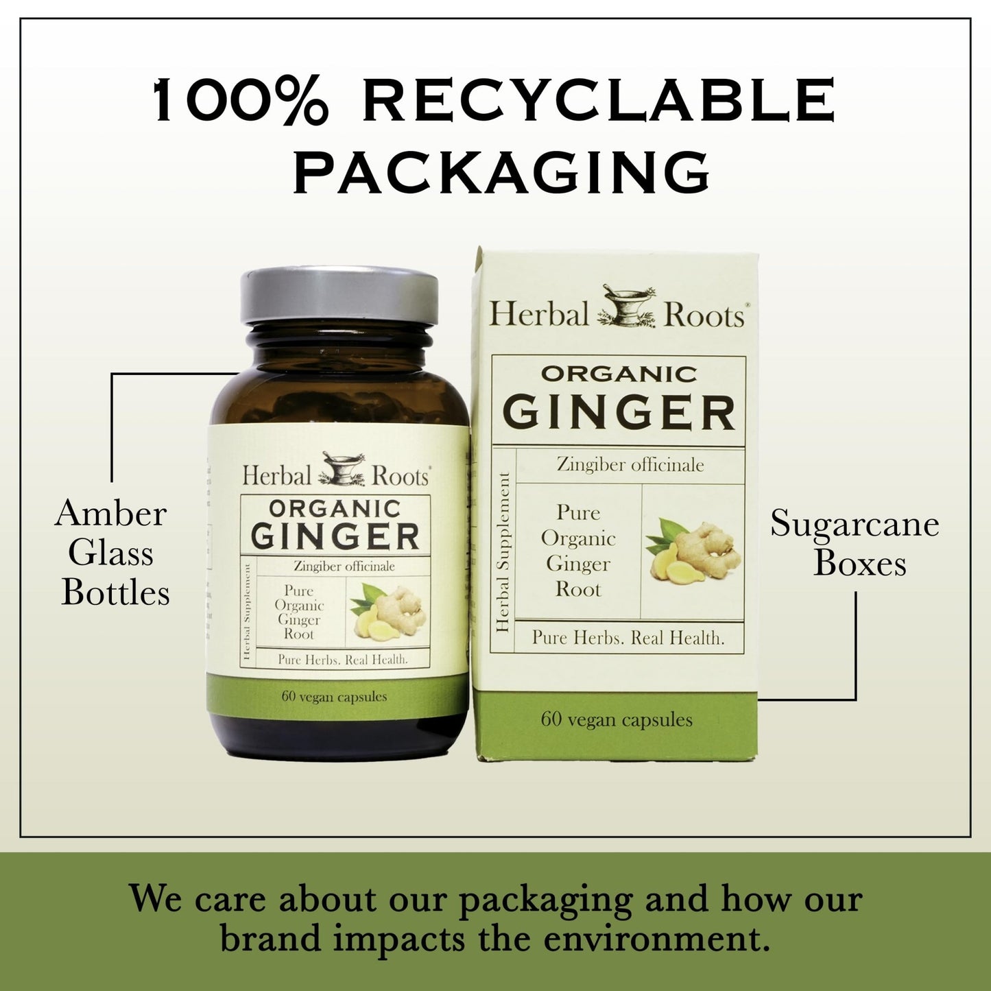 Herbal Roots Ginger Supplement | Organic Ginger Root Capsules | 1,200 mg of Pure Ginger Powder per Serving | 60 Vegan Capsules - dailyvitalstore