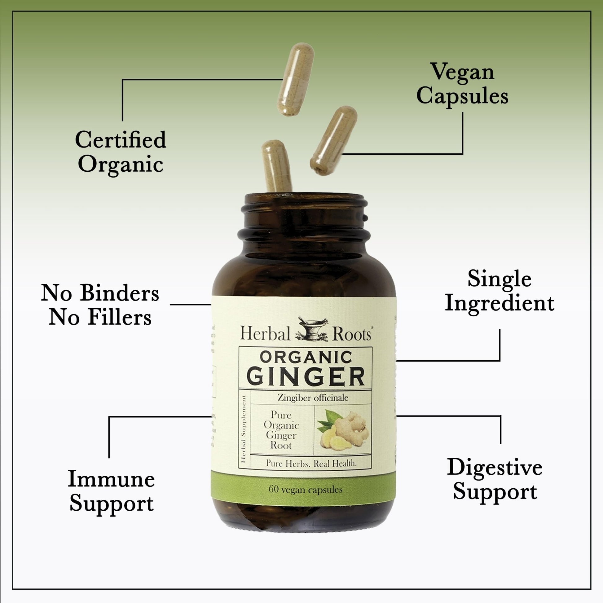 Herbal Roots Ginger Supplement | Organic Ginger Root Capsules | 1,200 mg of Pure Ginger Powder per Serving | 60 Vegan Capsules - dailyvitalstore