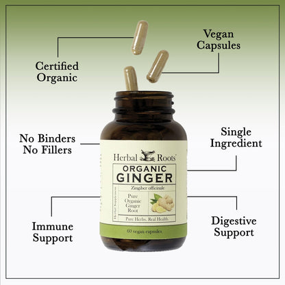 Herbal Roots Ginger Supplement | Organic Ginger Root Capsules | 1,200 mg of Pure Ginger Powder per Serving | 60 Vegan Capsules - dailyvitalstore