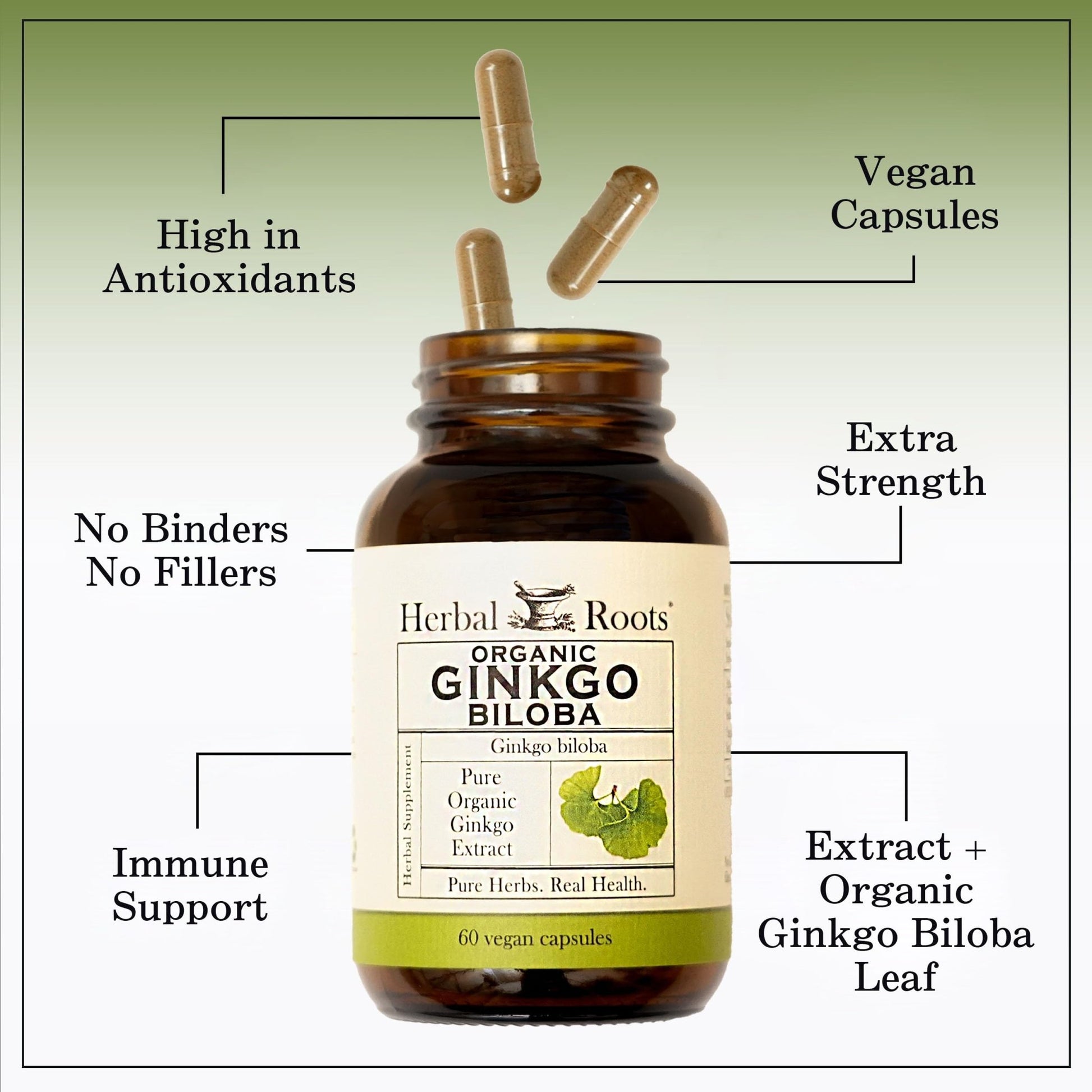 Herbal Roots Organic Ginkgo Biloba Made with Pure Organic Ginkgo Leaf and Extract - 60 Vegan Capsules - dailyvitalstore