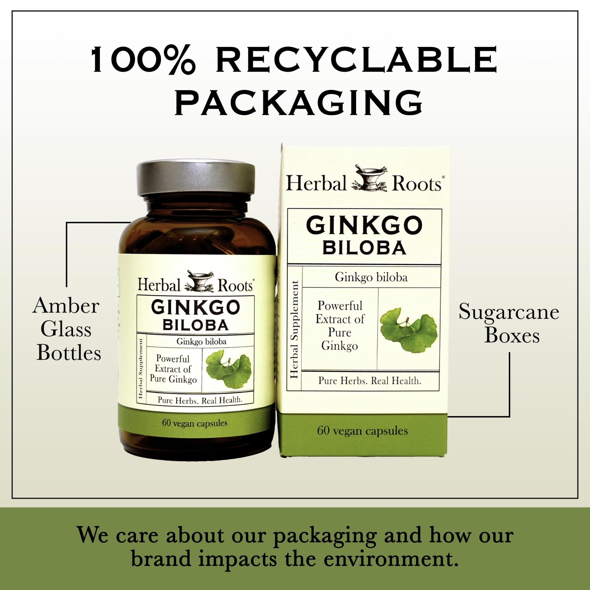 Herbal Roots Organic Ginkgo Biloba Made with Pure Organic Ginkgo Leaf and Extract - 60 Vegan Capsules - dailyvitalstore