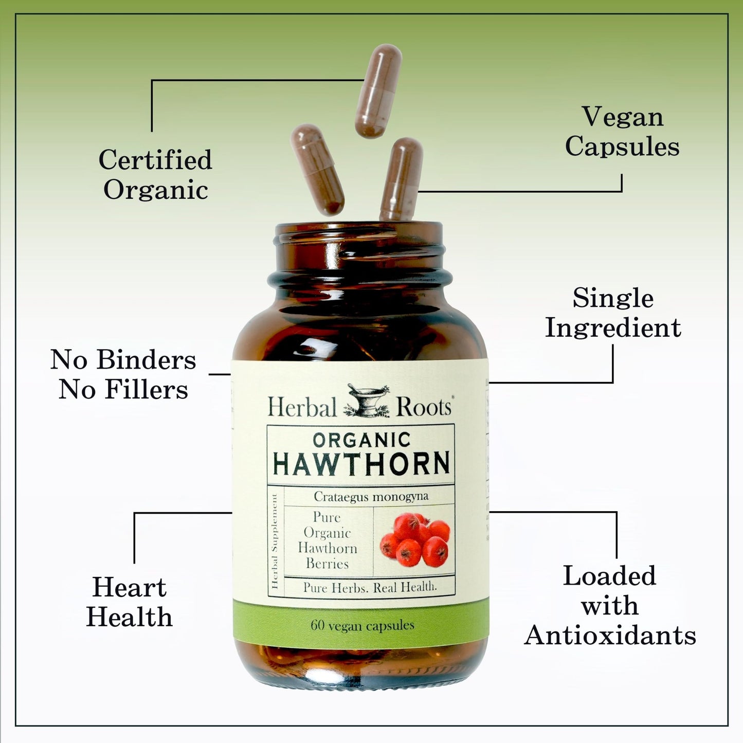 Herbal Roots Organic Hawthorn Berry Capsules | Extra Strength 1,200mg per Serving | 60 Vegan Capsules - dailyvitalstore
