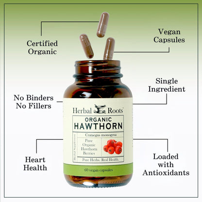 Herbal Roots Organic Hawthorn Berry Capsules | Extra Strength 1,200mg per Serving | 60 Vegan Capsules - dailyvitalstore