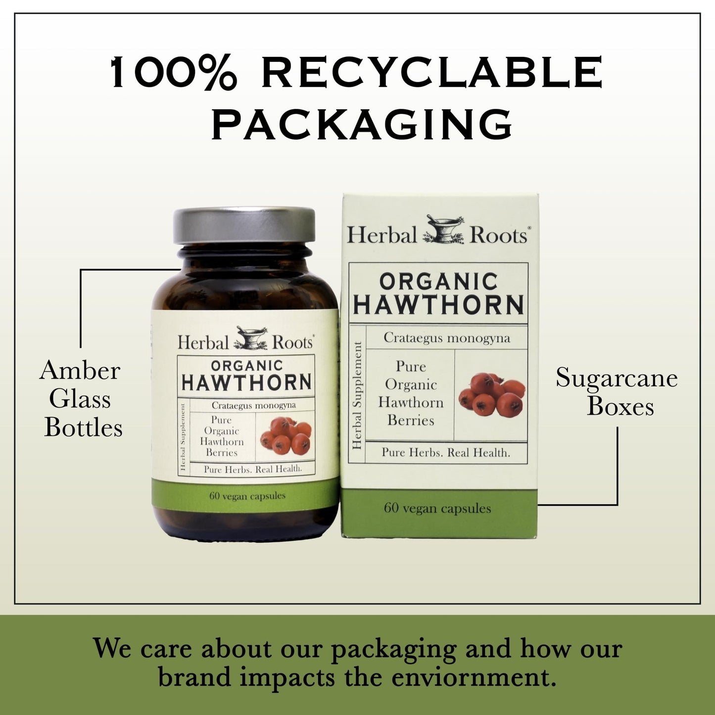 Herbal Roots Organic Hawthorn Berry Capsules | Extra Strength 1,200mg per Serving | 60 Vegan Capsules - dailyvitalstore