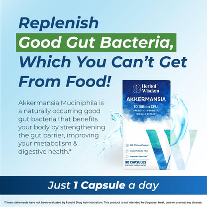 Herbal Wisdom Akkermansia Probiotic 10 Billion CFU - Advanced Support, Probiotic+Prebiotic | for Gut & Metabolism Support - No Bloating | with Inulin & Triphala - dailyvitalstore