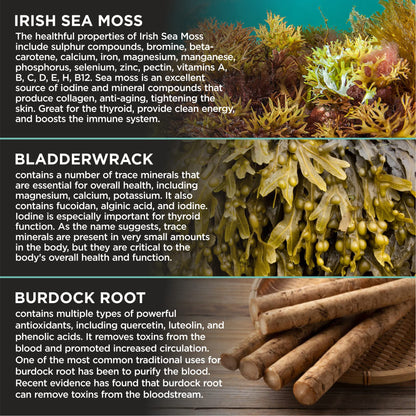 HerbaMe Organic Irish Sea Moss with Bladderwrack, Burdock Root & Black Pepper Extract, 150 Capsules, Thyroid Support, Natural Iodine Source, Promotes Immune System, Cell Food, Alkaline Supplement - dailyvitalstore