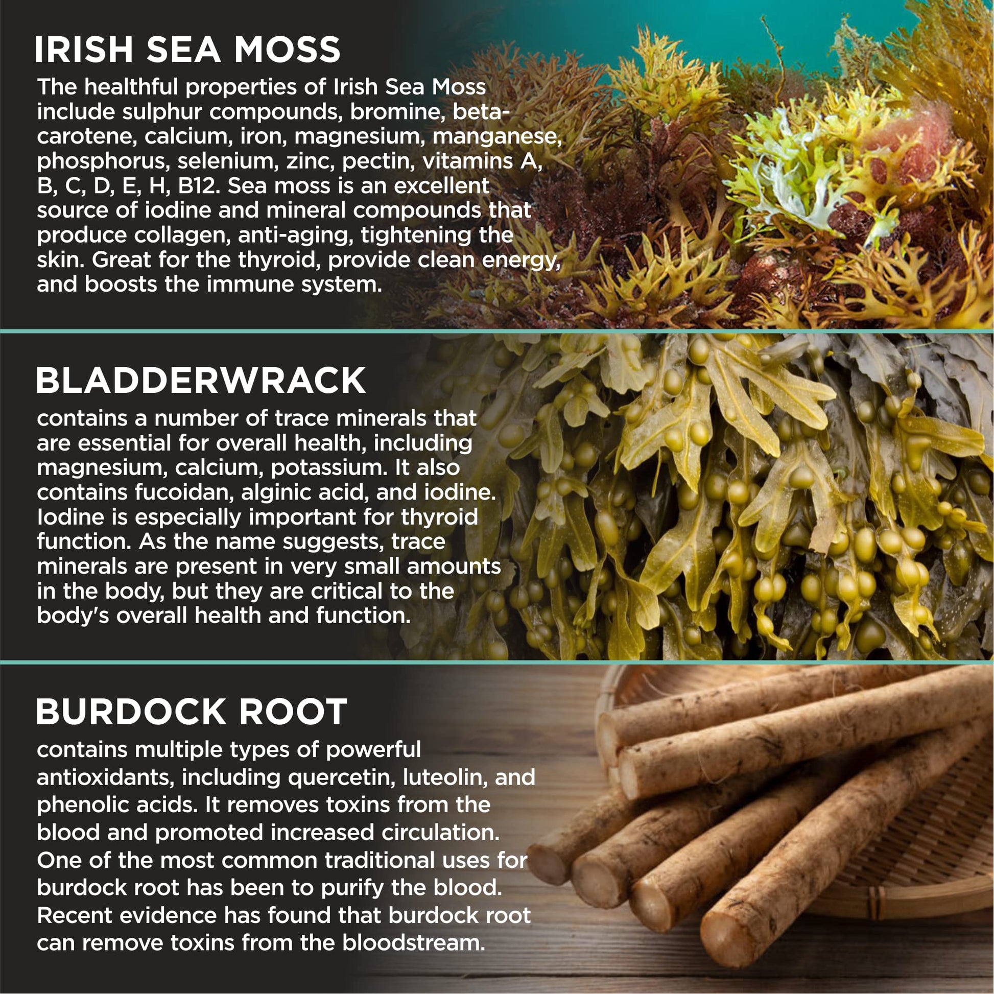 HerbaMe Organic Irish Sea Moss with Bladderwrack, Burdock Root & Black Pepper Extract, 150 Capsules, Thyroid Support, Natural Iodine Source, Promotes Immune System, Cell Food, Alkaline Supplement - dailyvitalstore