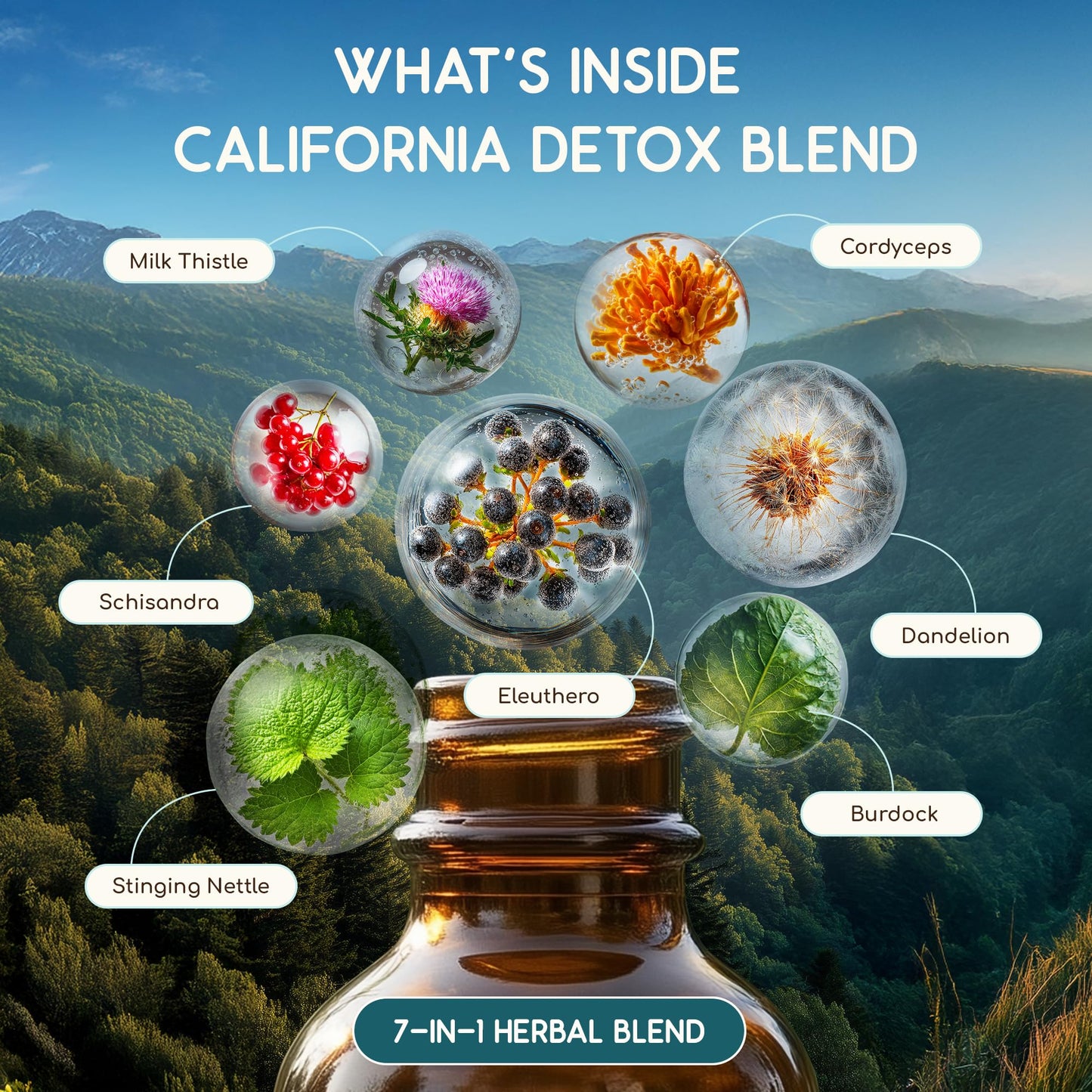 HerbEra California Herbal Detox Blend - USDA Organic Extract, Made in USA | Immune & Liver Support Liquid Drops | Burdock, Dandelion Root - dailyvitalstore