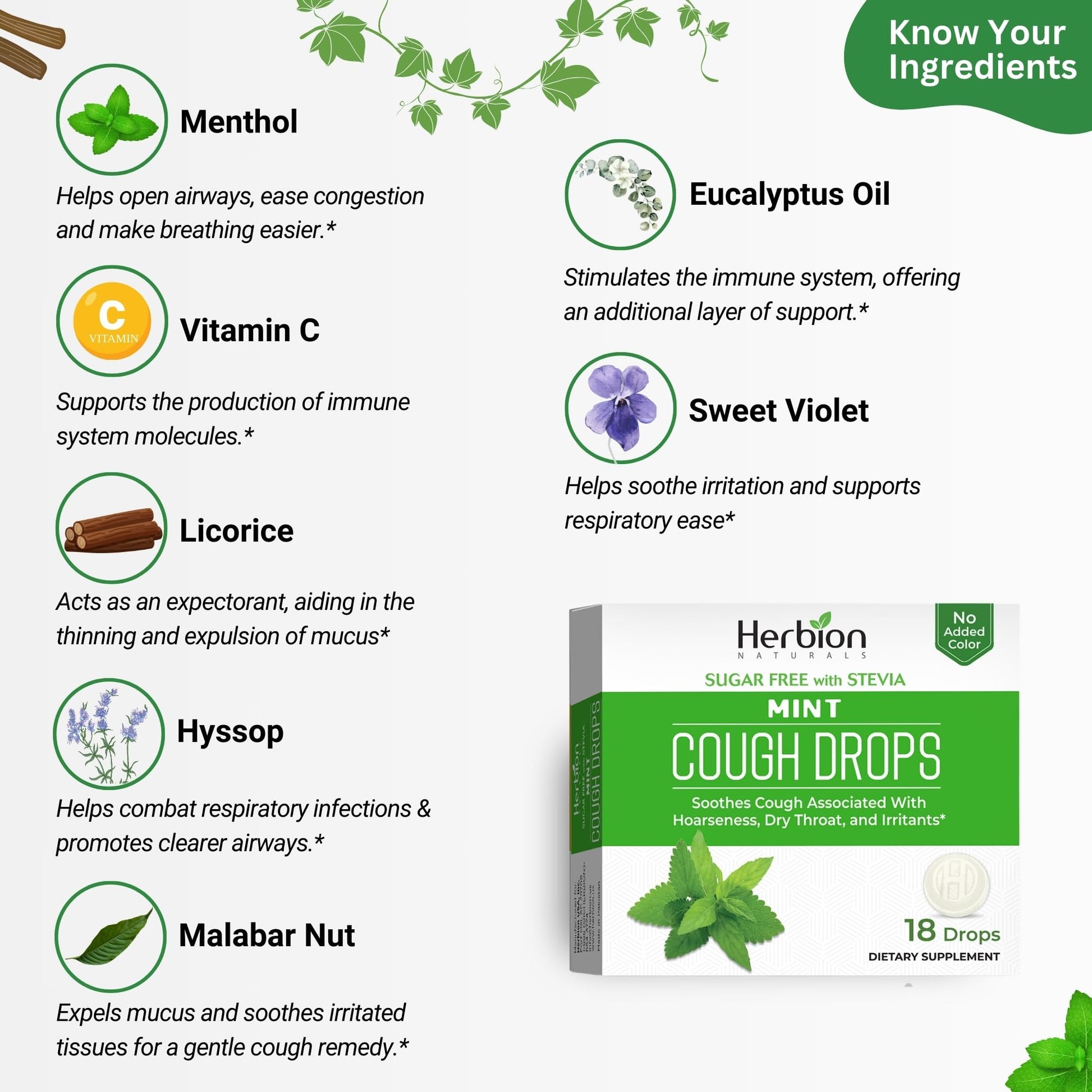 HERBION Naturals Cough Drops, Sugar Free with Stevia, Dietary Supplement, Soothes Cough, for Adults & Children Over 6 Years, 18 Count, Mint, Pack of 1 - dailyvitalstore