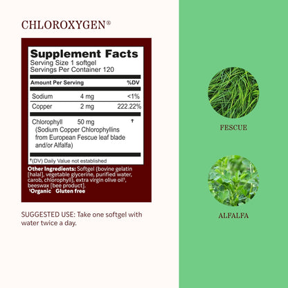 Herbs Etc. ChlorOxygen Chlorophyll Concentrate Softgels - High-Potency Chlorophyll for Detoxification Support - Deodorizing - Skin, Gut - dailyvitalstore