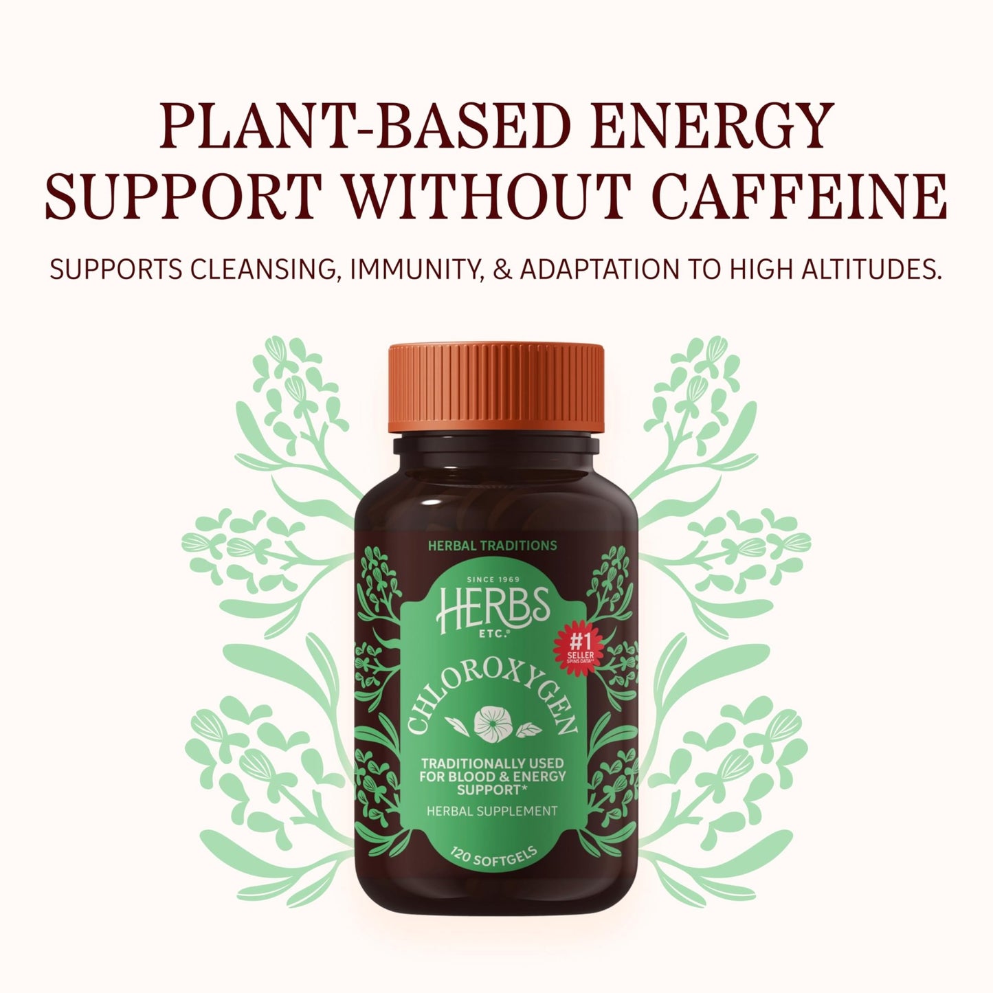 Herbs Etc. ChlorOxygen Chlorophyll Concentrate Softgels - High-Potency Chlorophyll for Detoxification Support - Deodorizing - Skin, Gut - dailyvitalstore