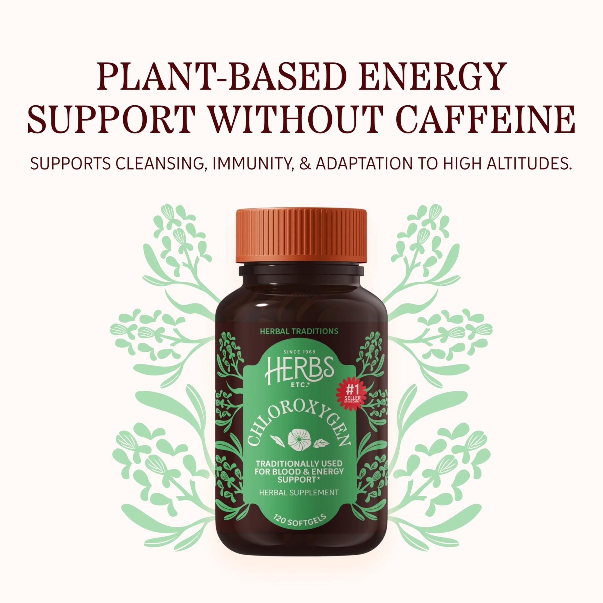 Herbs Etc. ChlorOxygen Chlorophyll Concentrate Softgels - High-Potency Chlorophyll for Detoxification Support - Deodorizing - Skin, Gut - dailyvitalstore