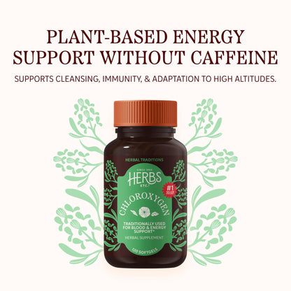 Herbs Etc. ChlorOxygen Chlorophyll Concentrate Softgels - High-Potency Chlorophyll for Detoxification Support - Deodorizing - Skin, Gut - dailyvitalstore