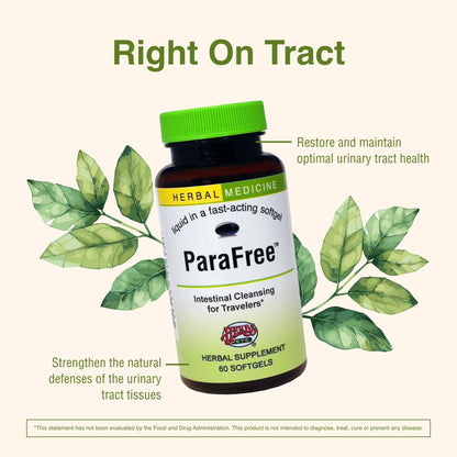 Herbs Etc. CranBladder ReLeaf Softgels - Bladder Health Support - Natural Supplement Formula to Aid Urinary Health & Comfort - Optimal Urinary Support with Cranberry - 60 Softgels (60 Servings) - dailyvitalstore