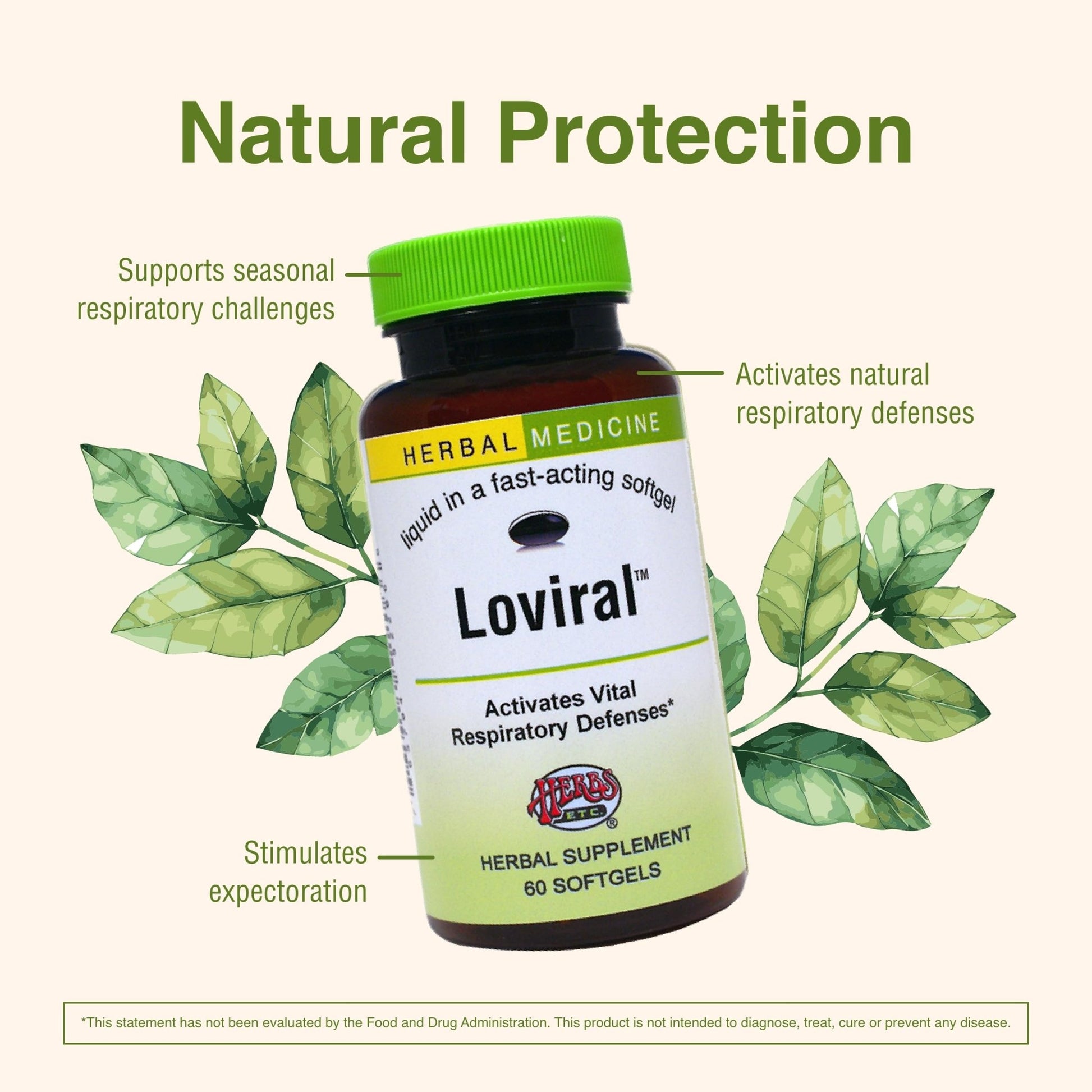 Herbs Etc. Loviral - Lung Health Supplement for Respiratory Defense & Support - Herbal Supplement with Lomatium, Pelargonium & OSHA - Gluten-Free - 60 Softgels (60 Servings) - dailyvitalstore