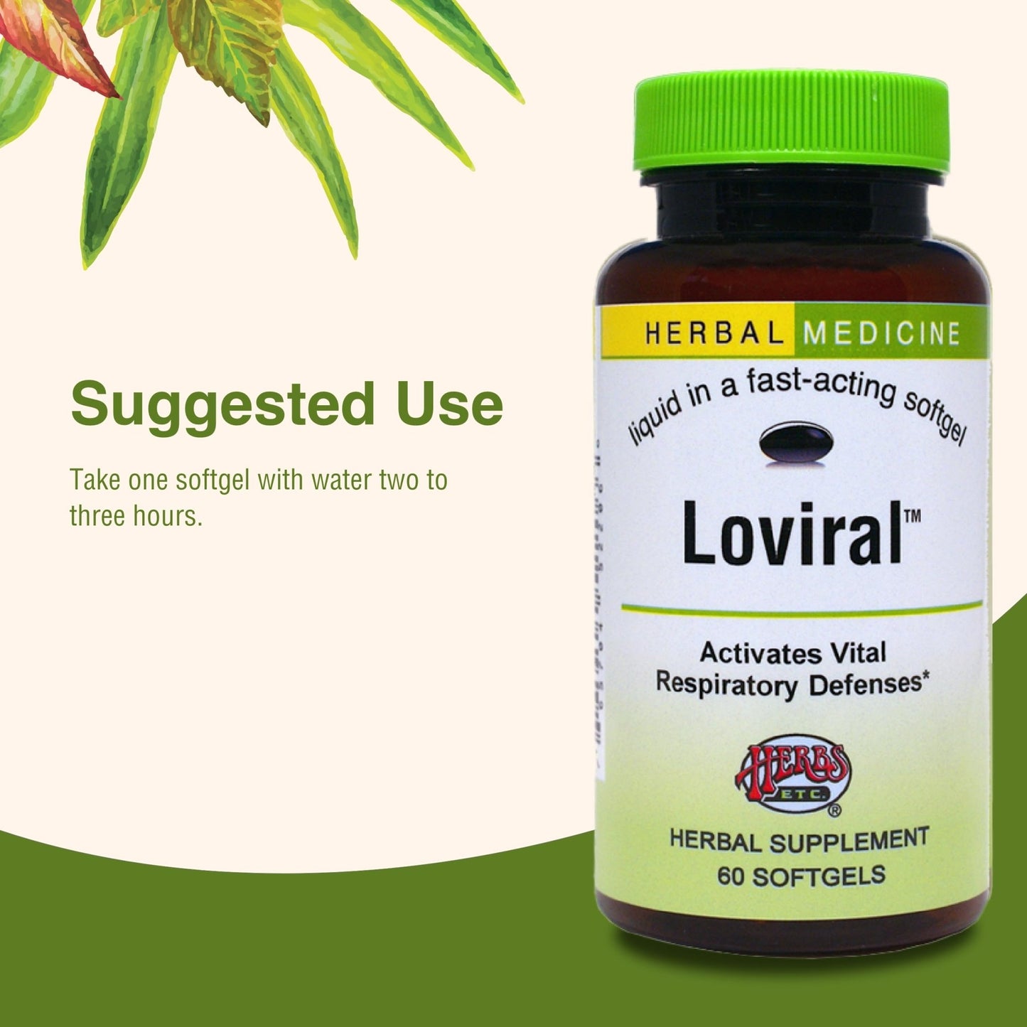 Herbs Etc. Loviral - Lung Health Supplement for Respiratory Defense & Support - Herbal Supplement with Lomatium, Pelargonium & OSHA - Gluten-Free - 60 Softgels (60 Servings) - dailyvitalstore