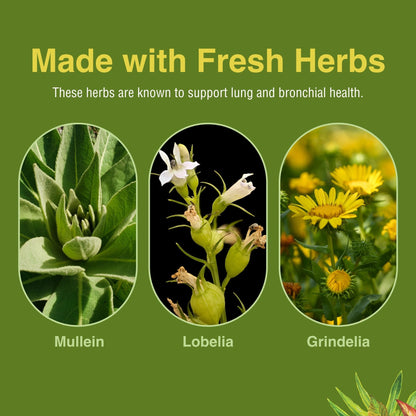 Herbs Etc. Lung Tonic - Lung Supplement for Bronchial Support - Healthy Breathing Support with Mullein, Horehound & Grindelia - 120 Softgels - dailyvitalstore