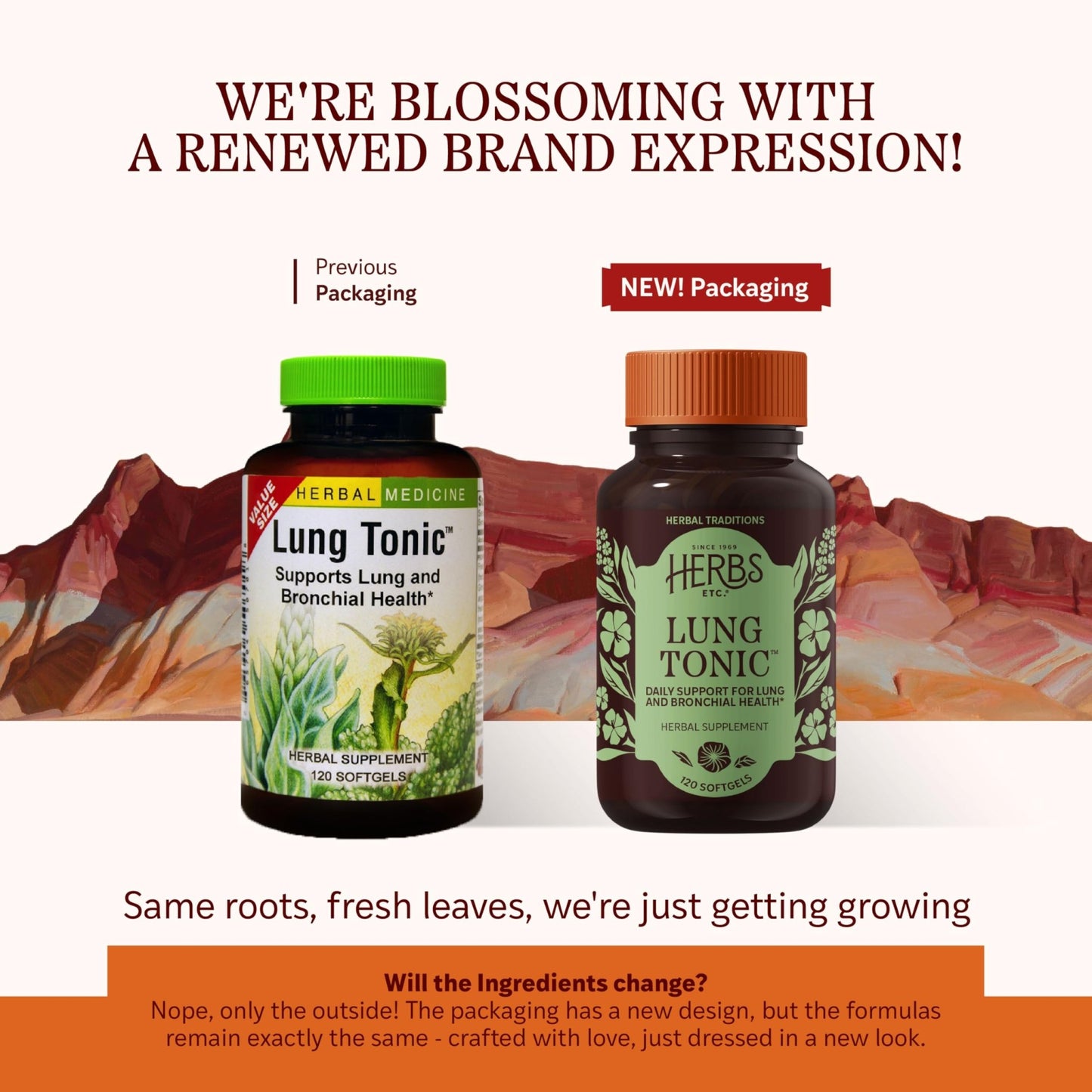 Herbs Etc. Lung Tonic - Lung Supplement for Bronchial Support - Healthy Breathing Support with Mullein, Horehound & Grindelia - 120 Softgels - dailyvitalstore