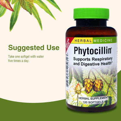 Herbs Etc. Phytocillin - Respiratory & Digestive Health Support Supplement - Herbal Formula to Support Digestion - Support Healthy Breathing - 120 Softgels (120 Servings) - dailyvitalstore
