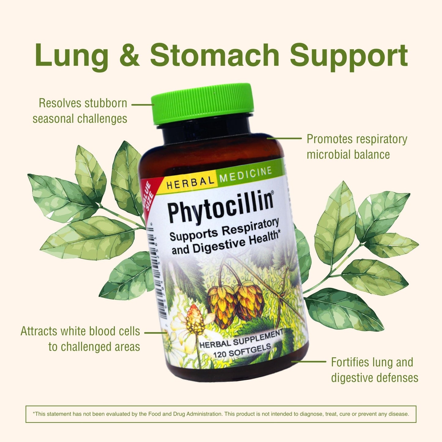 Herbs Etc. Phytocillin - Respiratory & Digestive Health Support Supplement - Herbal Formula to Support Digestion - Support Healthy Breathing - 120 Softgels (120 Servings) - dailyvitalstore