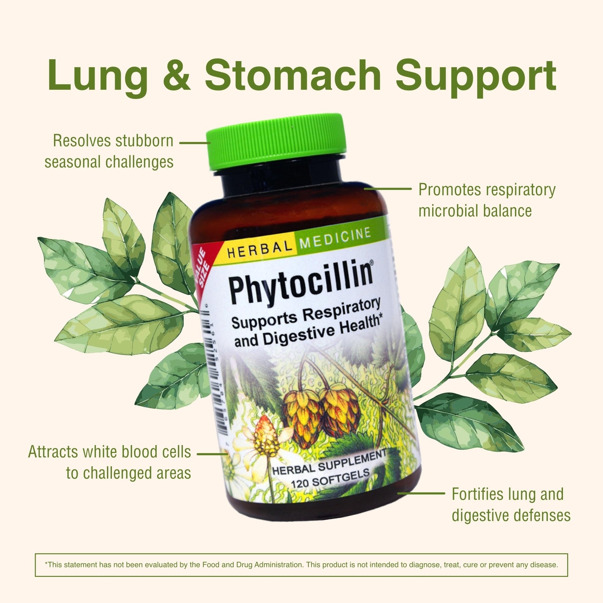 Herbs Etc. Phytocillin - Respiratory & Digestive Health Support Supplement - Herbal Formula to Support Digestion - Support Healthy Breathing - 120 Softgels (120 Servings) - dailyvitalstore