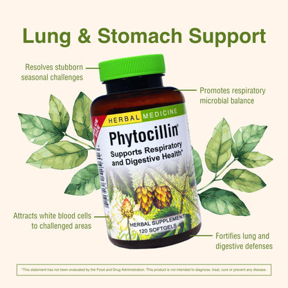 Herbs Etc. Phytocillin - Respiratory & Digestive Health Support Supplement - Herbal Formula to Support Digestion - Support Healthy Breathing - 120 Softgels (120 Servings) - dailyvitalstore