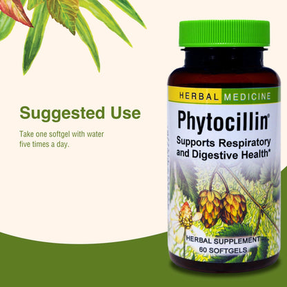 Herbs Etc. Phytocillin - Respiratory & Digestive Health Support Supplement - Herbal Formula to Support Digestion - Support Healthy Breathing - 60 Softgels (60 Servings) - dailyvitalstore
