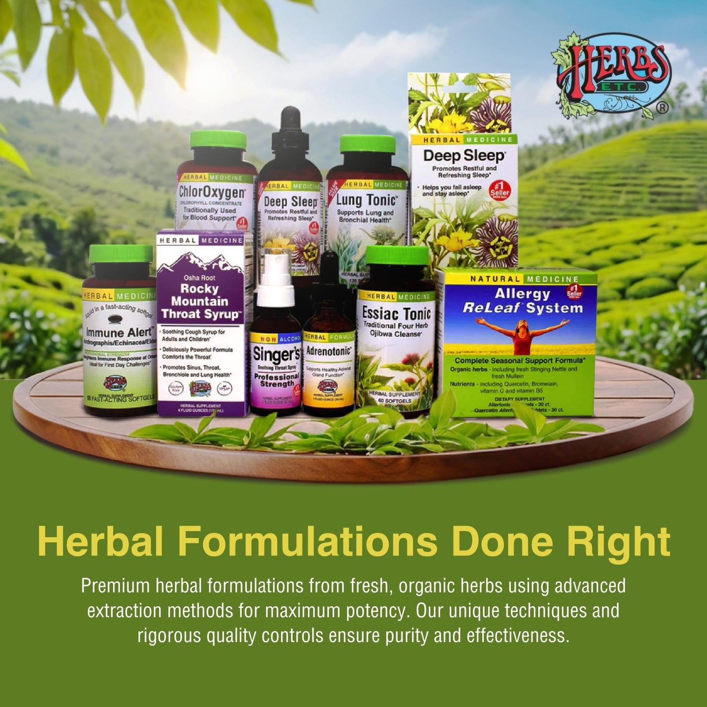 Herbs Etc. Phytocillin - Respiratory & Digestive Health Support Supplement - Herbal Formula to Support Digestion - Support Healthy Breathing - 60 Softgels (60 Servings) - dailyvitalstore
