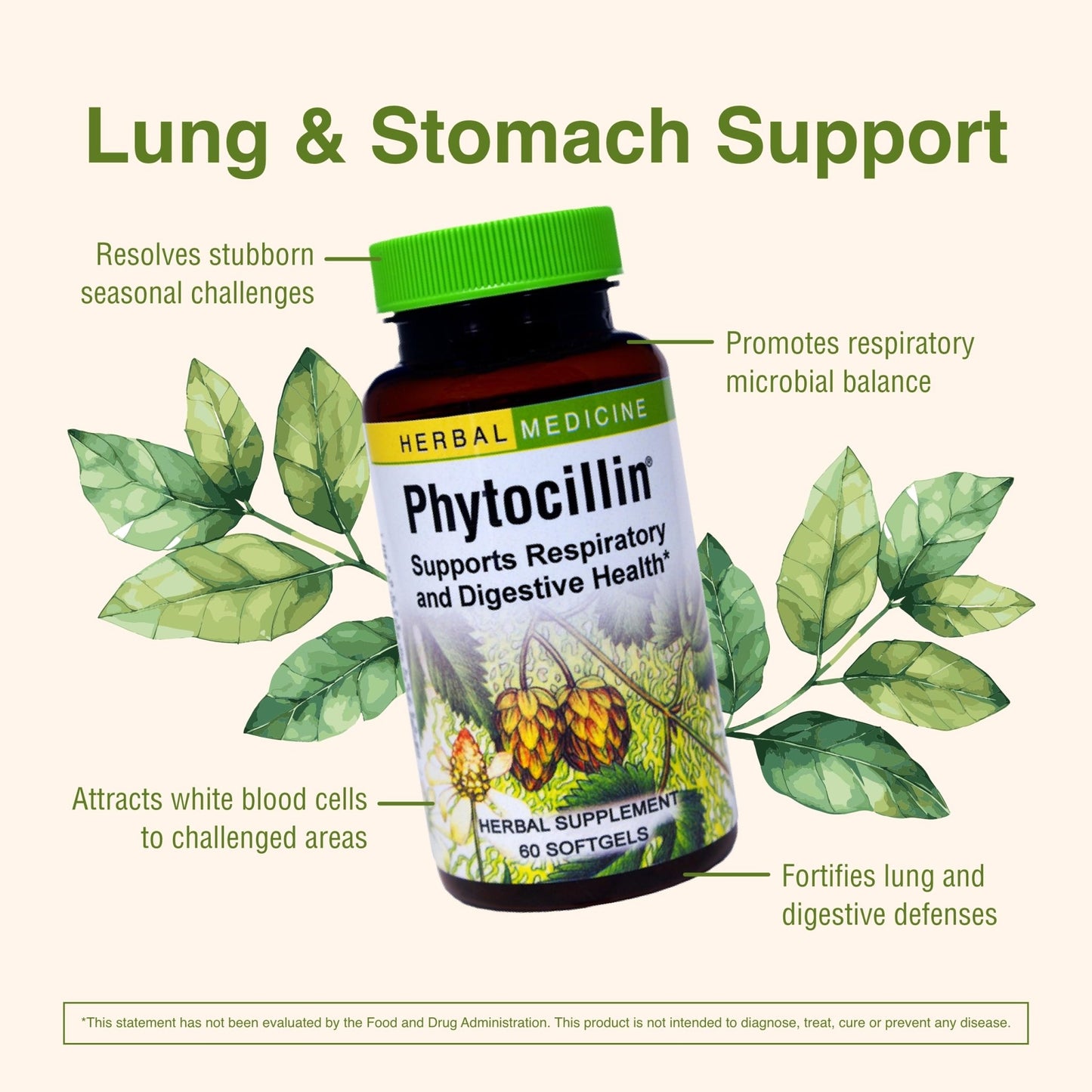 Herbs Etc. Phytocillin - Respiratory & Digestive Health Support Supplement - Herbal Formula to Support Digestion - Support Healthy Breathing - 60 Softgels (60 Servings) - dailyvitalstore