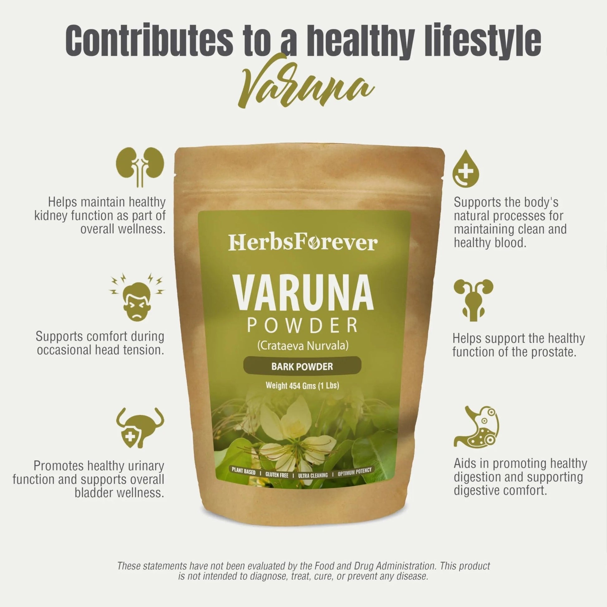 HerbsForever Varuna Powder – Crataeva Nurvala – Prostate Health – Support Prostatic, Kidneys, Gall Bladder and Urinary Tract Health – Non GMO, Organic, Vegan – 454 GMS - dailyvitalstore