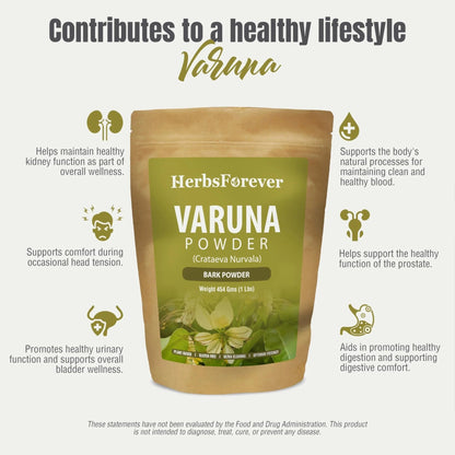 HerbsForever Varuna Powder – Crataeva Nurvala – Prostate Health – Support Prostatic, Kidneys, Gall Bladder and Urinary Tract Health – Non GMO, Organic, Vegan – 454 GMS - dailyvitalstore