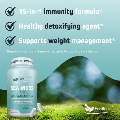 Herbtonics Sea Moss, Black Cumin Seed, Ashwagandha, Burdock Root & ACV Complex | Manage Immunity, Stress & Digestion Support | 60 Capsules (2 Capsules Per Serving) - dailyvitalstore