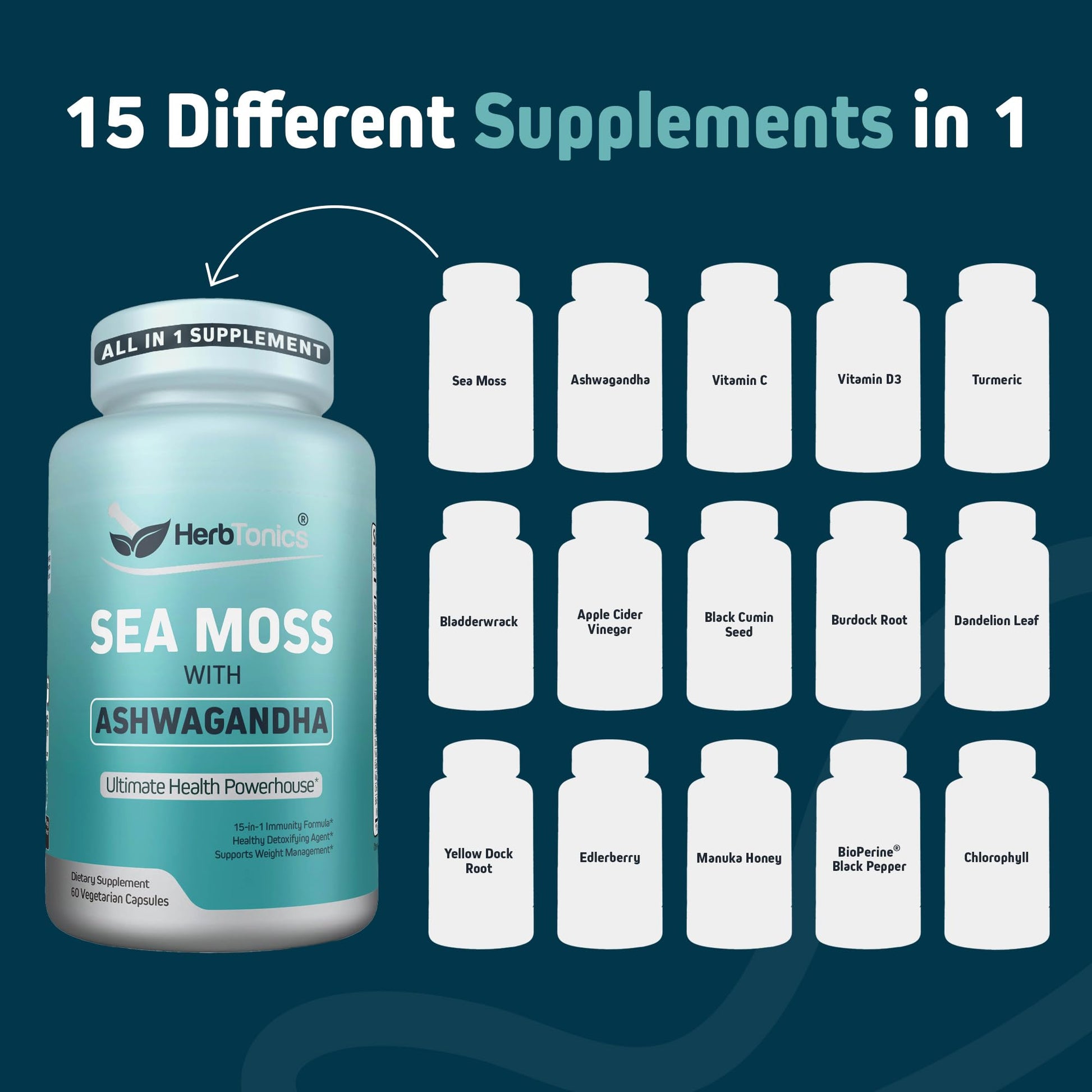 Herbtonics Sea Moss, Black Cumin Seed, Ashwagandha, Burdock Root & ACV Complex | Manage Immunity, Stress & Digestion Support | 60 Capsules (2 Capsules Per Serving) - dailyvitalstore