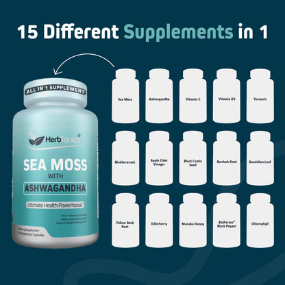 Herbtonics Sea Moss, Black Cumin Seed, Ashwagandha, Burdock Root & ACV Complex | Manage Immunity, Stress & Digestion Support | 60 Capsules (2 Capsules Per Serving) - dailyvitalstore