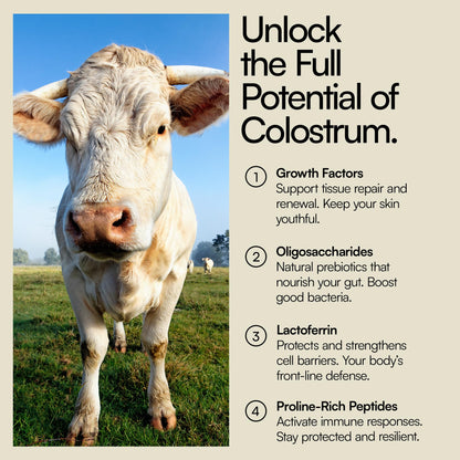 Heylo Premium Colostrum Powder – 100% Pure, Grass-Fed Bovine 40% IgG Supplement, Natural Gut Health Bloating Immunity Skin & Hair, Muscle Recovery, Rich in Immunoglobulins, 60 Servings - dailyvitalstore