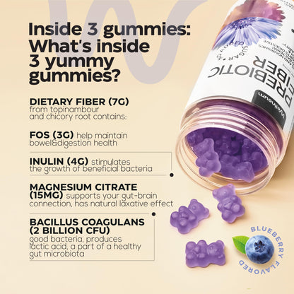 High Prebiotic Fiber Gummies for Women and Men 7G, 160 Pcs (2 Pack) - Natural Support - Beet FOS Fiber, Magnesium, Inulin, Probiotic - Gummy Supplement for Digestive Health - Sugar Free - dailyvitalstore