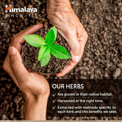 Himalaya GlucoCare – Herbal Glucose Metabolism & Pancreatic Support with Bitter Melon, Gymnema, Triphala & Turmeric – Natural Blood Sugar Support - dailyvitalstore